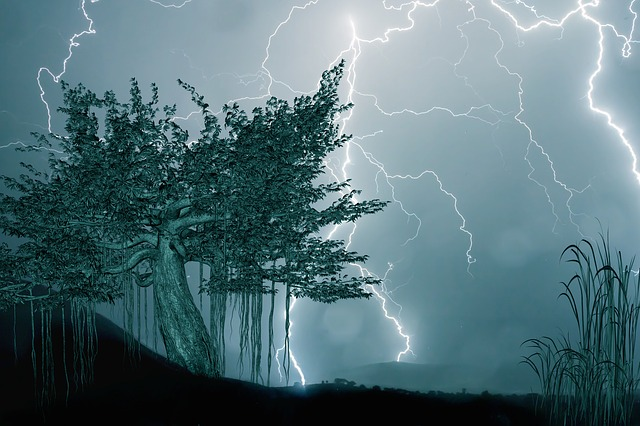 1661309274212545.png 雷雨天气.png